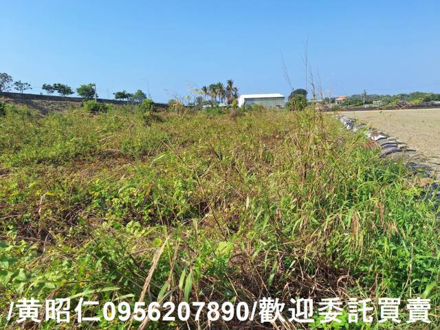 仁德農地-0