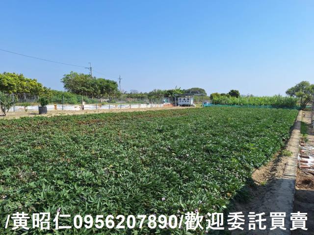 仁德農地-1