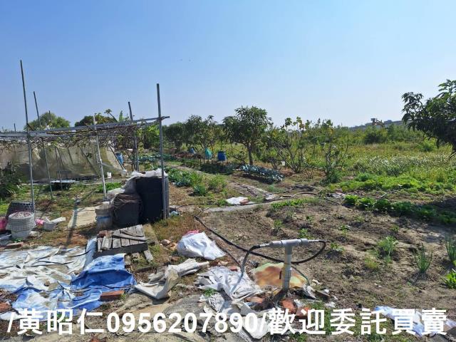 仁德農地-2