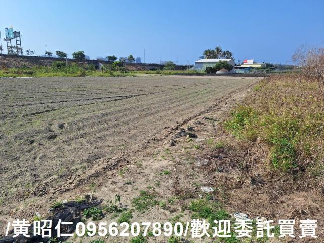 仁德農地-3