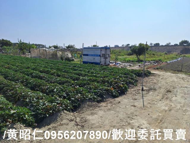 仁德農地-4