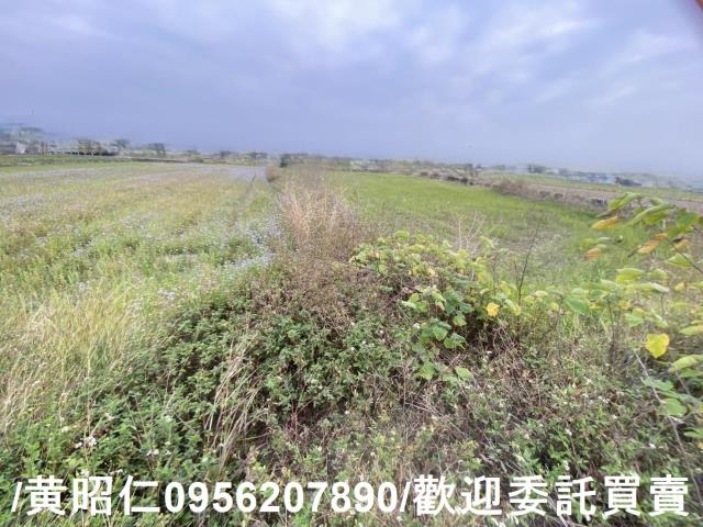 台南新市農地-3