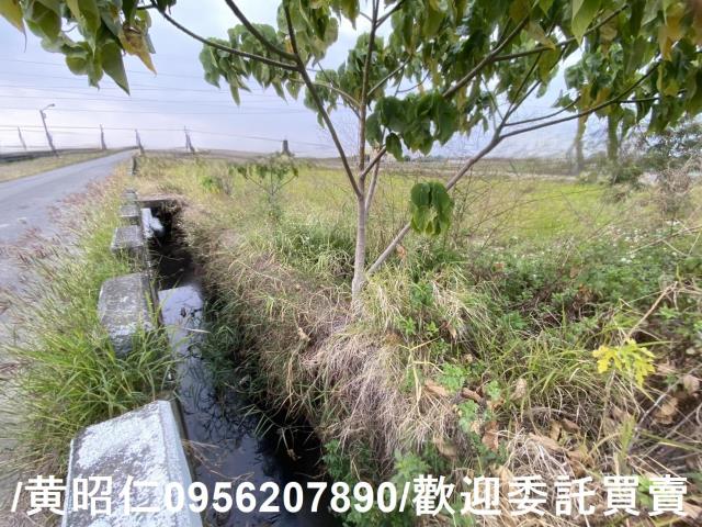 台南新市農地-8