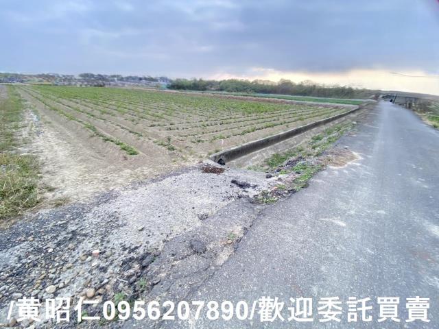 台南新市農地-1