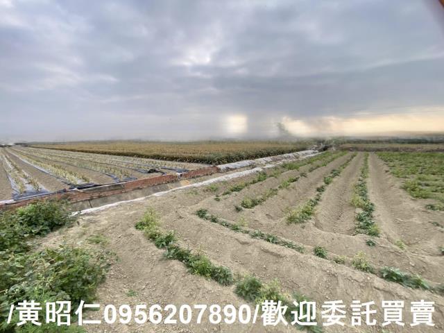 台南新市農地-4