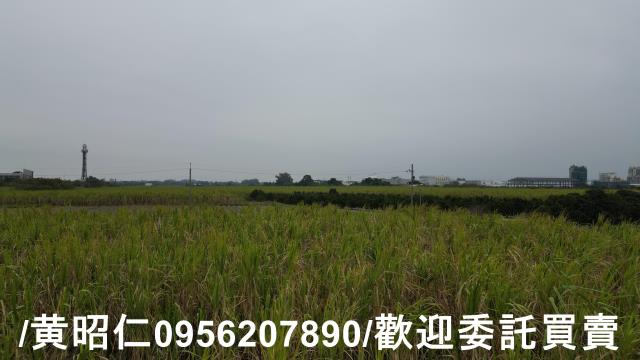 台南新市農地-14
