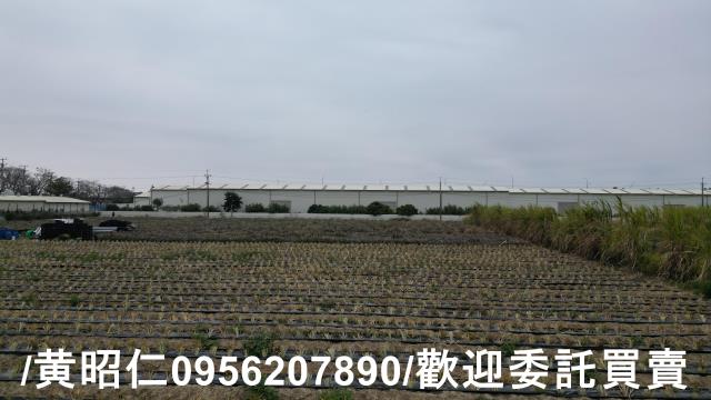 台南新市農地-4
