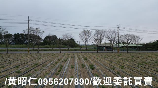 台南新市農地-0
