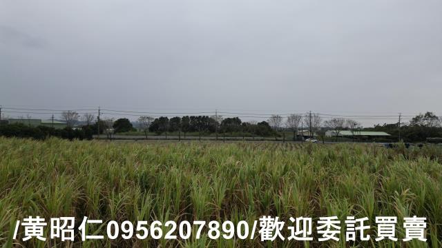 台南新市農地-5
