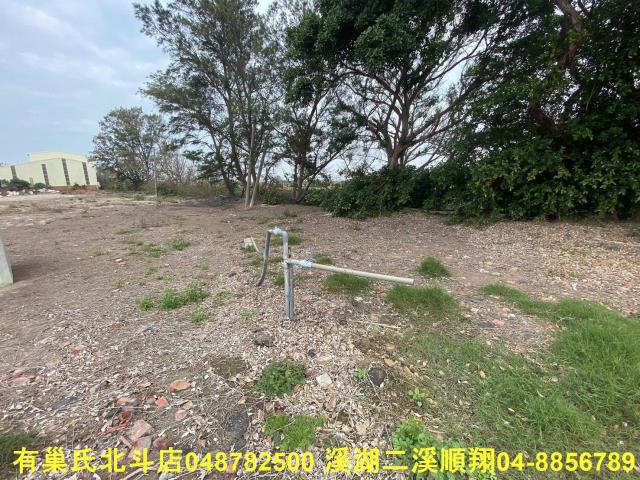 雲林台西農地-4