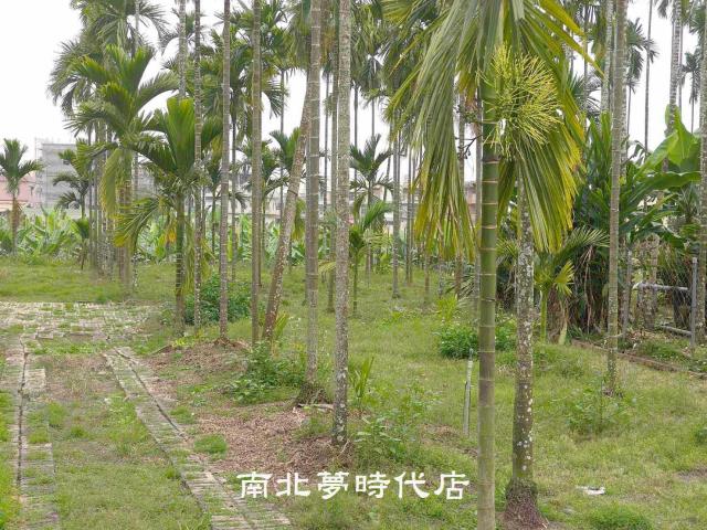 屏東萬巒農地-0