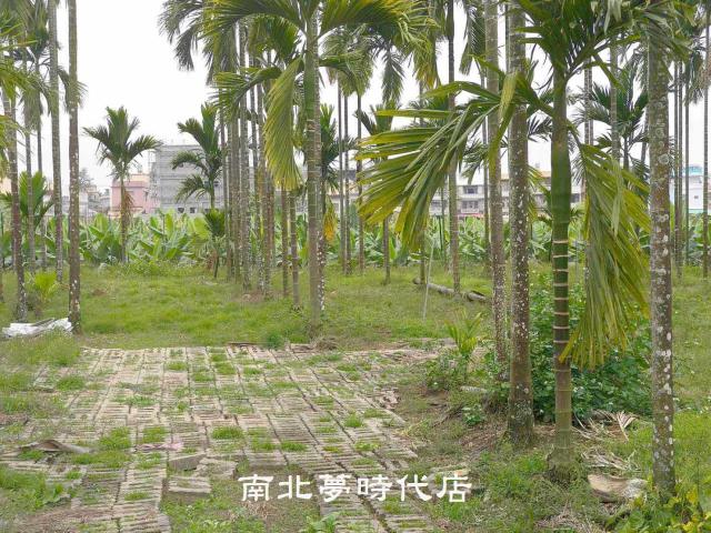 屏東萬巒農地-1
