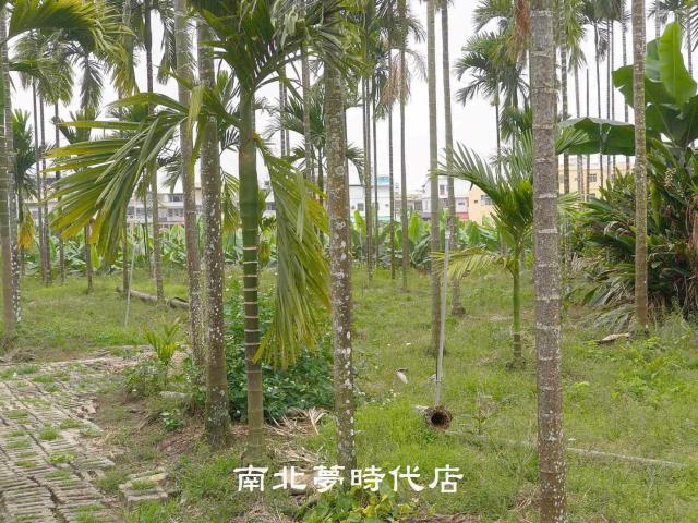屏東萬巒農地-2