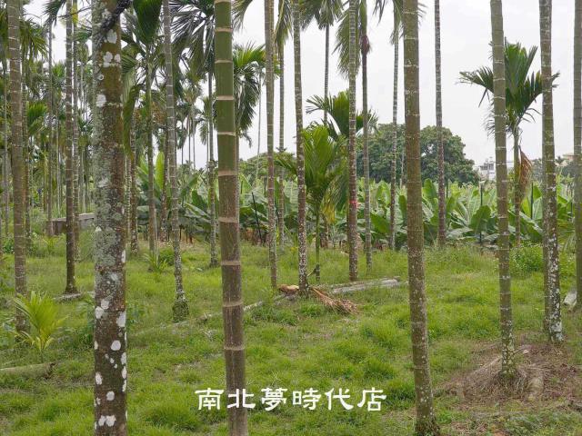 屏東萬巒農地-4