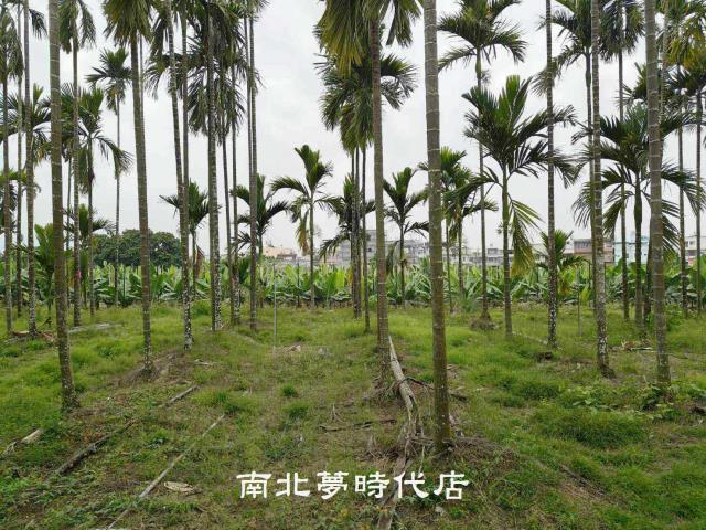 屏東萬巒農地-5