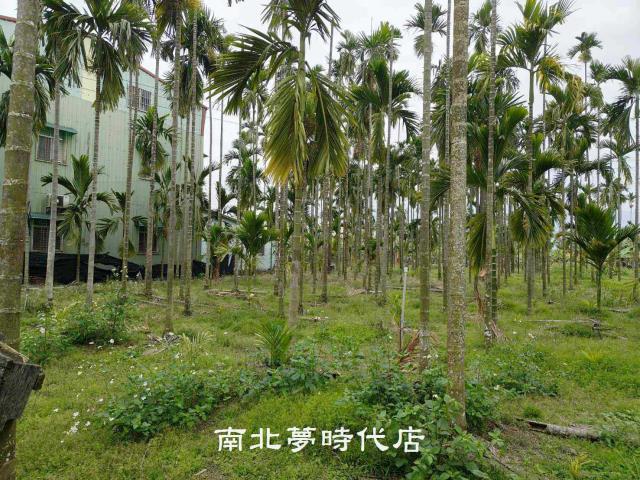屏東萬巒農地-6