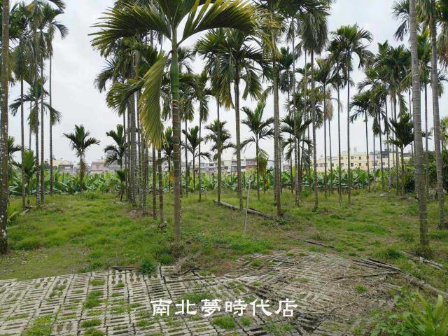 屏東萬巒農地-7