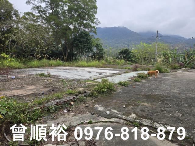 新竹農地-1