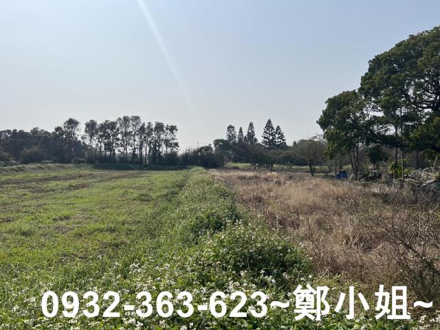 觀音農地-5