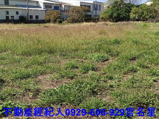 高雄梓官工業地-7