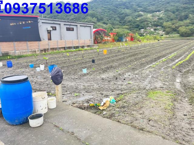 三星農地-0