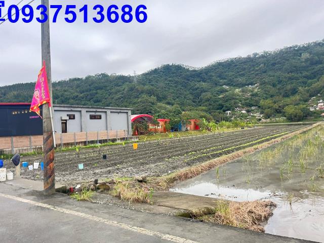 三星農地-3