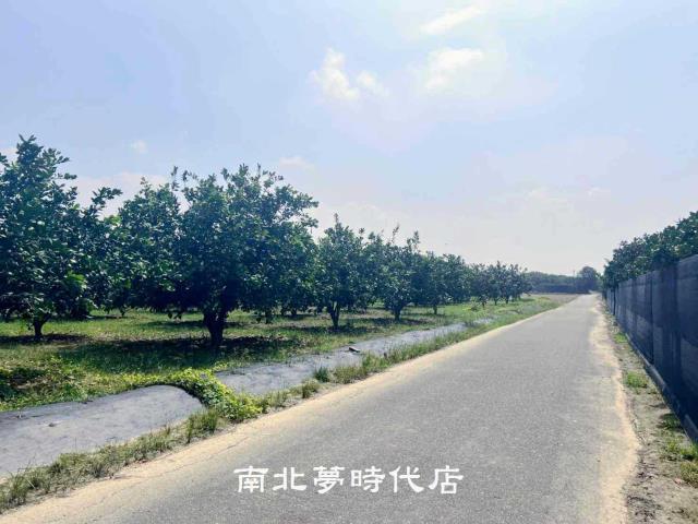麻豆農地-2