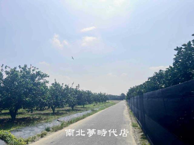 麻豆農地-3