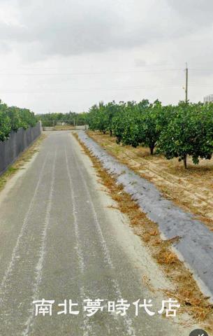 麻豆農地-7