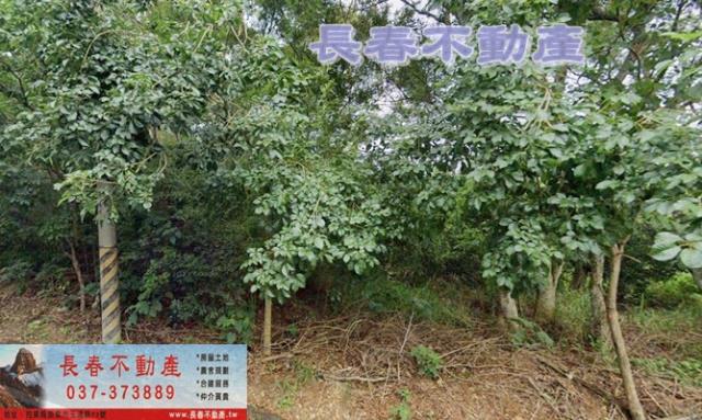 苗栗農地-3