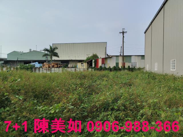 大社農地-0