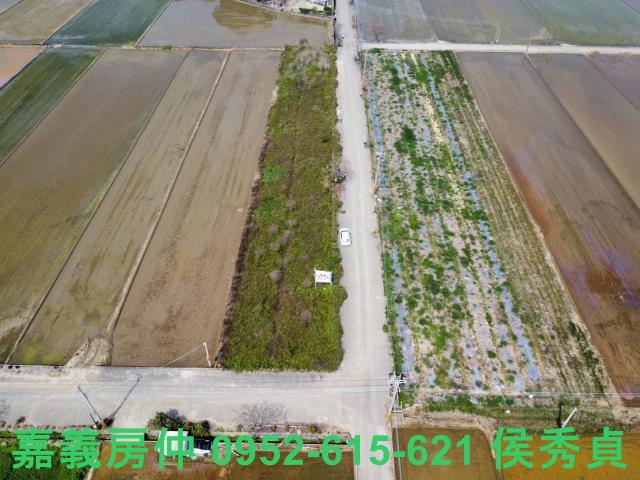 民雄農地-0