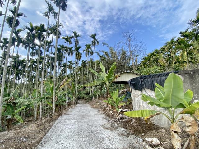 中寮永樂國小2分5休閒農地