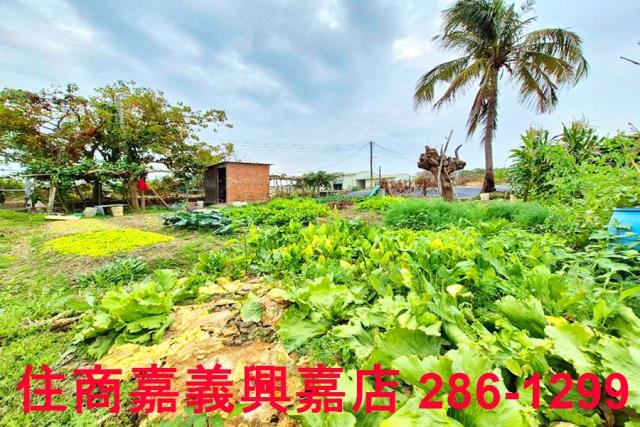 嘉義水上農地-8