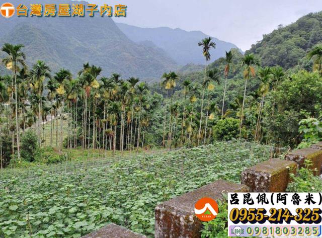 嘉義農地-1