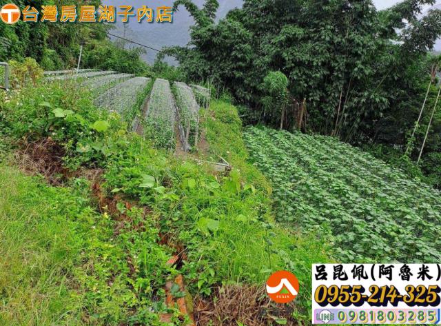 嘉義農地-2