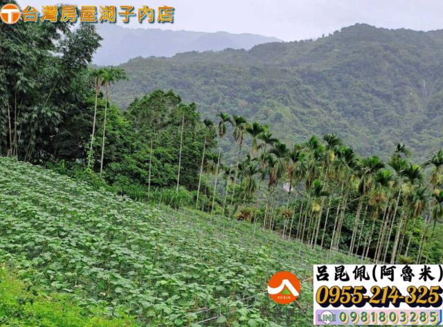 嘉義農地-5