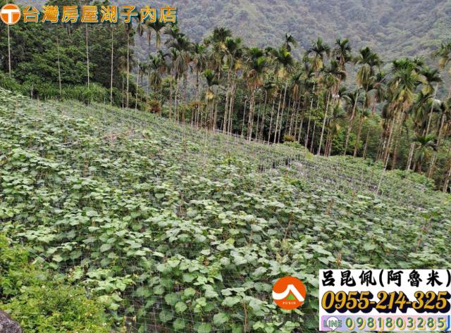 嘉義農地-6