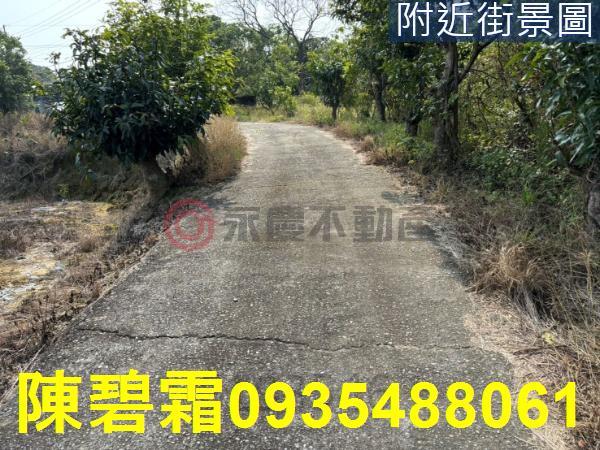 台南大內農地-11