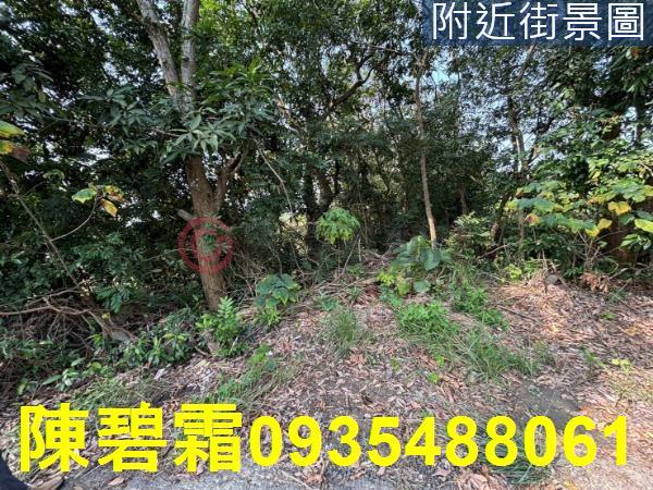 台南大內農地-12