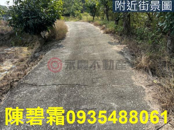 台南大內農地-13