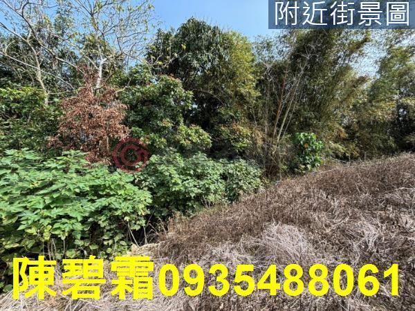 台南大內農地-0