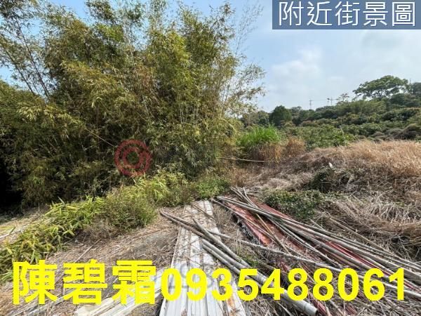 台南大內農地-1