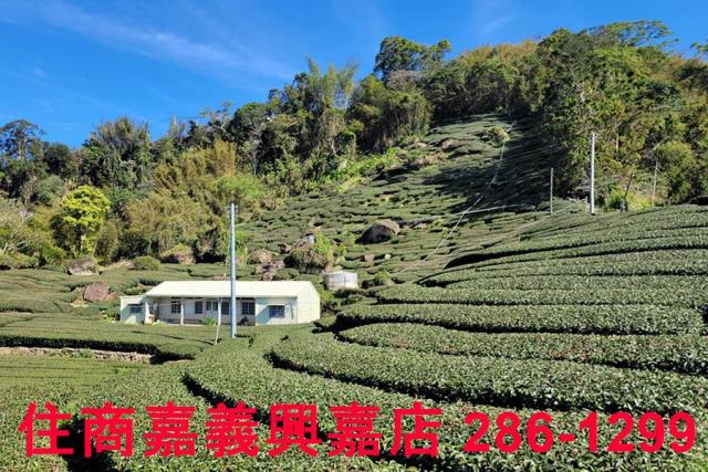 嘉義梅山農地-3