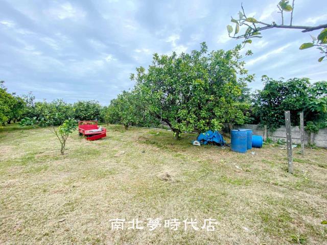 台南麻豆農地-4