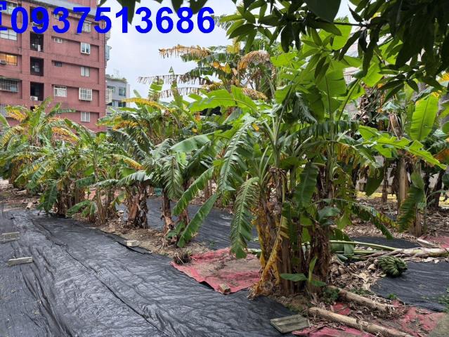 礁溪建地-2