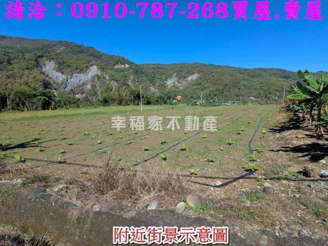 甲仙農地-4