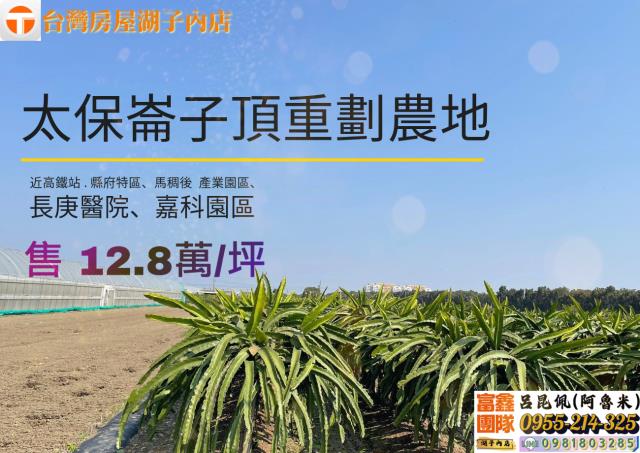 嘉義太保農地-0