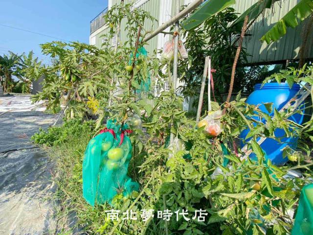 台南南區農地-3