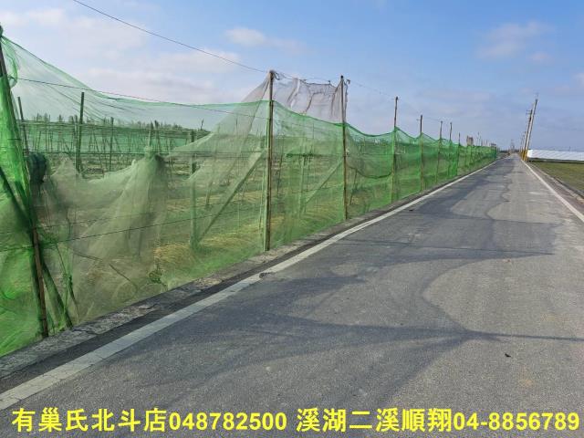 埤頭農地-8